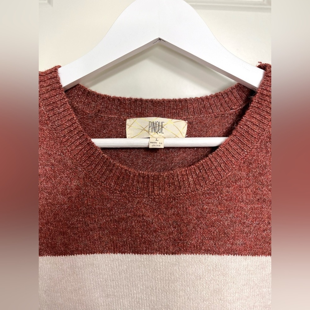 Pinque Color-Block Crewneck Sweater NWOT - Picture 3 of 3